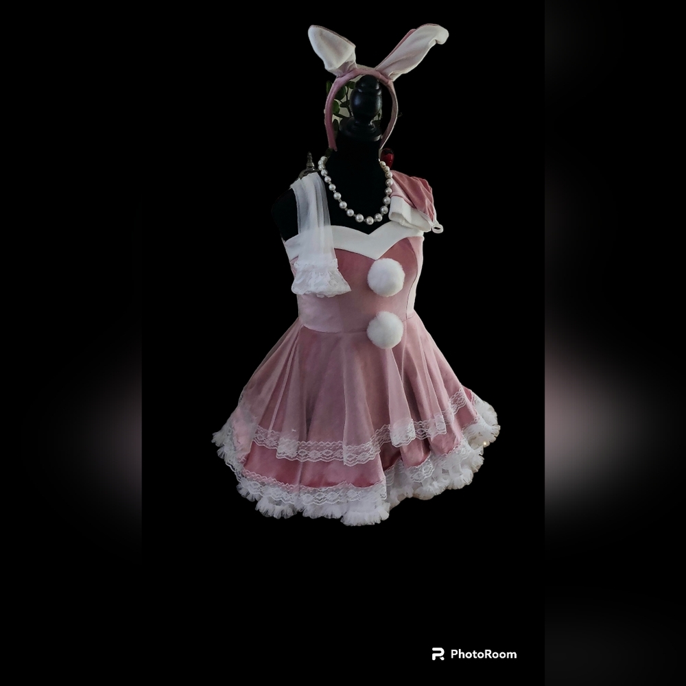Bunny Costume/dress